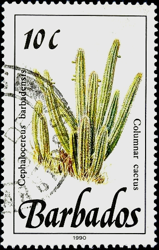  1990  .   (Cephalocereus barbadensis) 10  . 